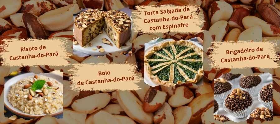 20 Receitas com Castanhas-do-Pará Inspiradas em Epicuro 3 castanha-do-para