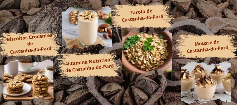 20 Receitas com Castanhas-do-Pará Inspiradas em Epicuro 2 receitas-castanha-do-para