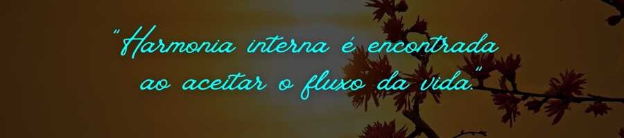 Fluxo Pleno: 8 Dicas Para Superar o Estresse Diários 1 fluxo-pleno